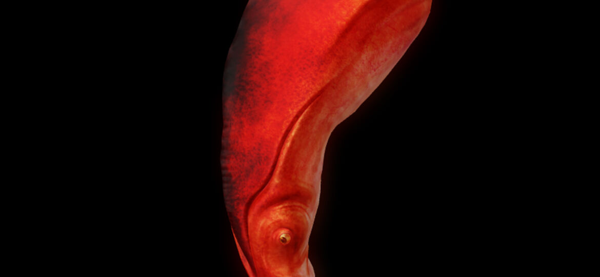 a18