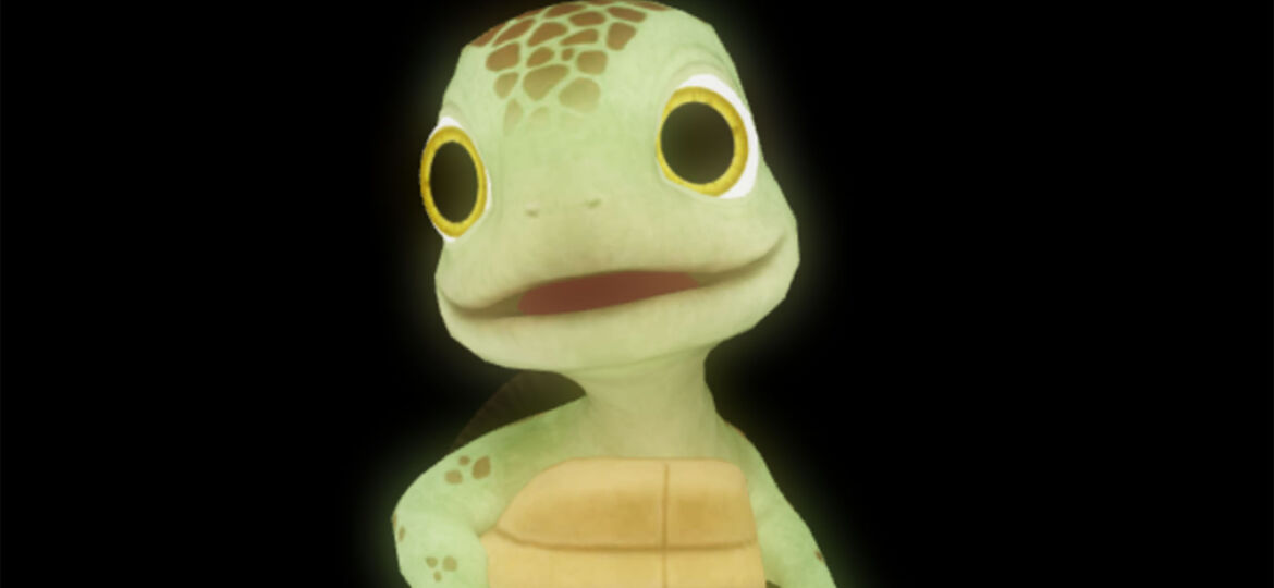 turtle 016