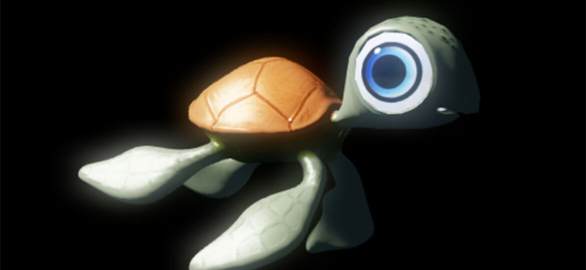 turtle 17